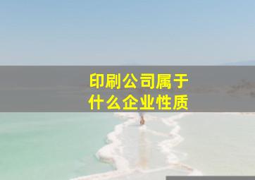 印刷公司属于什么企业性质