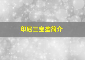 印尼三宝垄简介