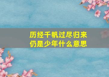 历经千帆过尽归来仍是少年什么意思