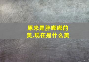 原来是胖嘟嘟的美,现在是什么美