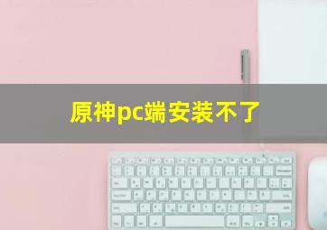 原神pc端安装不了