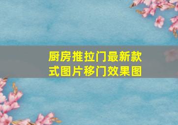 厨房推拉门最新款式图片移门效果图