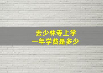 去少林寺上学一年学费是多少