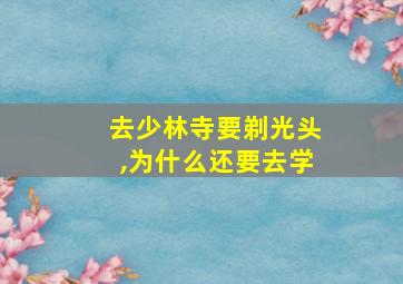 去少林寺要剃光头,为什么还要去学