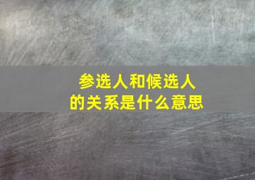 参选人和候选人的关系是什么意思