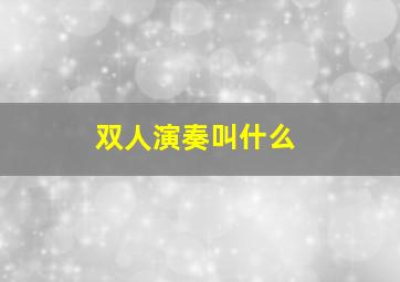 双人演奏叫什么