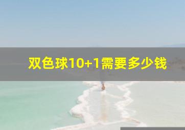 双色球10+1需要多少钱