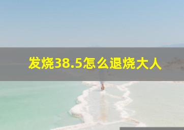 发烧38.5怎么退烧大人