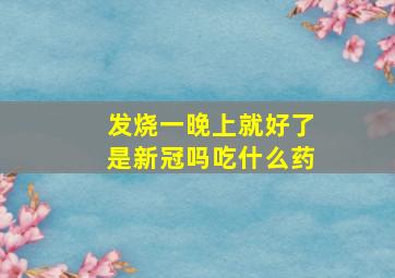 发烧一晚上就好了是新冠吗吃什么药