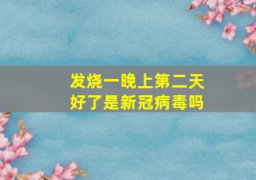 发烧一晚上第二天好了是新冠病毒吗