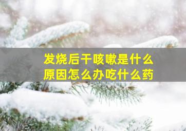 发烧后干咳嗽是什么原因怎么办吃什么药