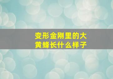 变形金刚里的大黄蜂长什么样子