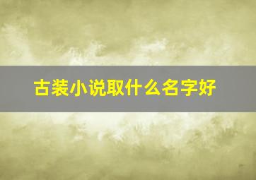 古装小说取什么名字好