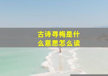 古诗寻梅是什么意思怎么读