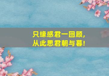 只缘感君一回顾,从此思君朝与暮!