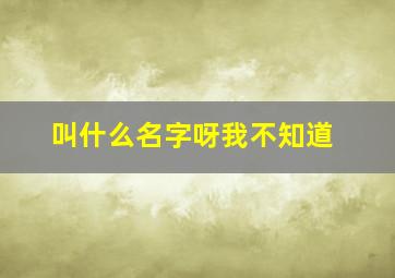 叫什么名字呀我不知道