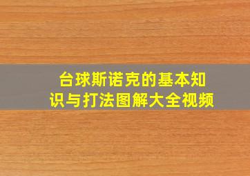 台球斯诺克的基本知识与打法图解大全视频