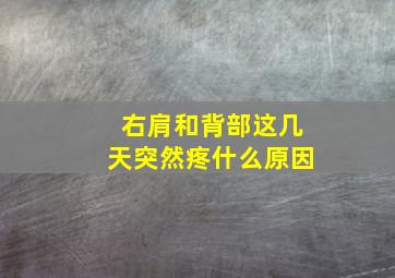 右肩和背部这几天突然疼什么原因