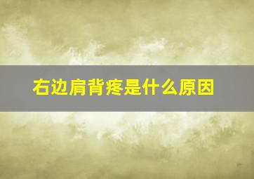 右边肩背疼是什么原因