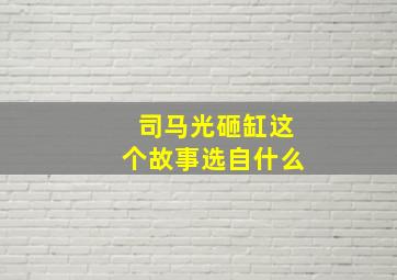 司马光砸缸这个故事选自什么