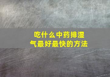 吃什么中药排湿气最好最快的方法