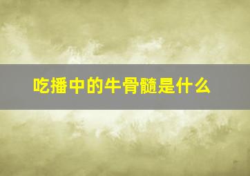 吃播中的牛骨髓是什么