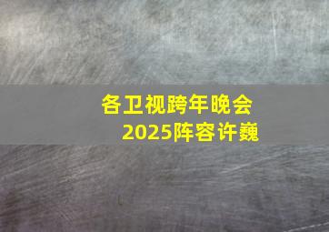 各卫视跨年晚会2025阵容许巍