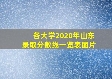 各大学2020年山东录取分数线一览表图片