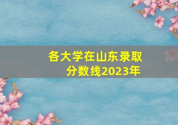 各大学在山东录取分数线2023年