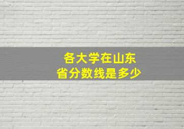 各大学在山东省分数线是多少