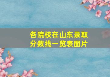 各院校在山东录取分数线一览表图片