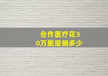 合作医疗花30万能报销多少