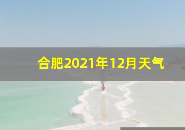 合肥2021年12月天气