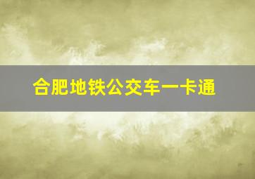 合肥地铁公交车一卡通