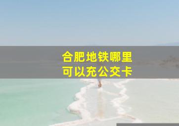 合肥地铁哪里可以充公交卡