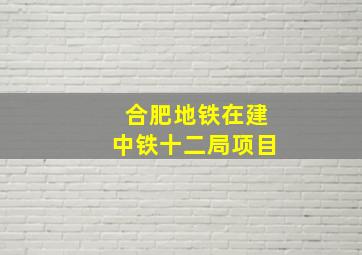 合肥地铁在建中铁十二局项目