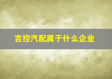 吉控汽配属于什么企业