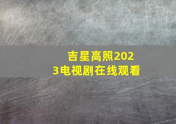 吉星高照2023电视剧在线观看