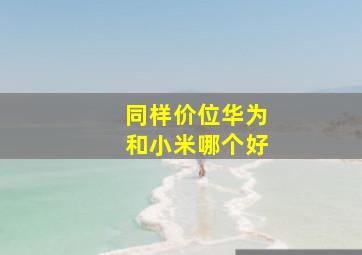 同样价位华为和小米哪个好