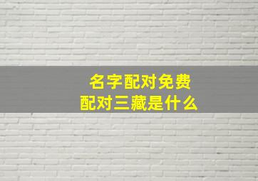 名字配对免费配对三藏是什么