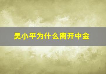 吴小平为什么离开中金