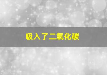 吸入了二氧化碳