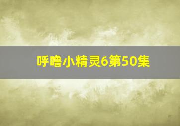 呼噜小精灵6第50集