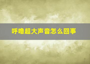 呼噜超大声音怎么回事