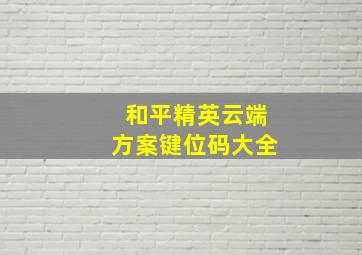 和平精英云端方案键位码大全