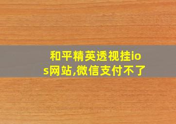 和平精英透视挂ios网站,微信支付不了