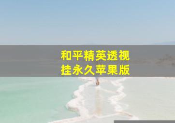 和平精英透视挂永久苹果版