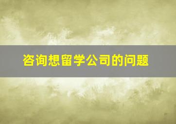 咨询想留学公司的问题