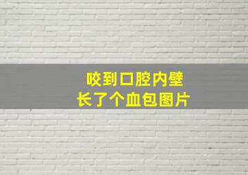 咬到口腔内壁长了个血包图片