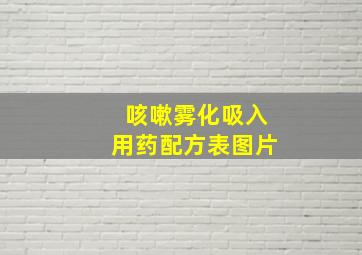 咳嗽雾化吸入用药配方表图片